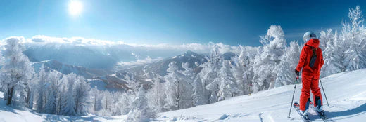 Best speaker for skiing main image 