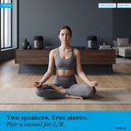Treblab Focus Home Bluetooth Speaker (HD-360-Pro)