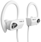 White treblab xr500